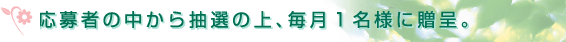 ҂̒璊ȈAPlɑB
