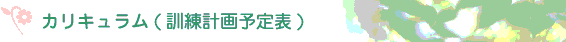 �J���L������(�P���v��\)