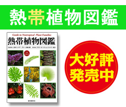 熱帯植物図鑑
