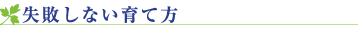 失敗しない育て方